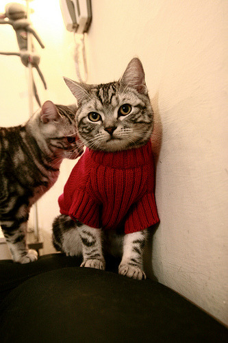 kaiyun体育综合-迈阿密热火“钢铁防线”让对手进退两难！，迈阿密热火队百度百科