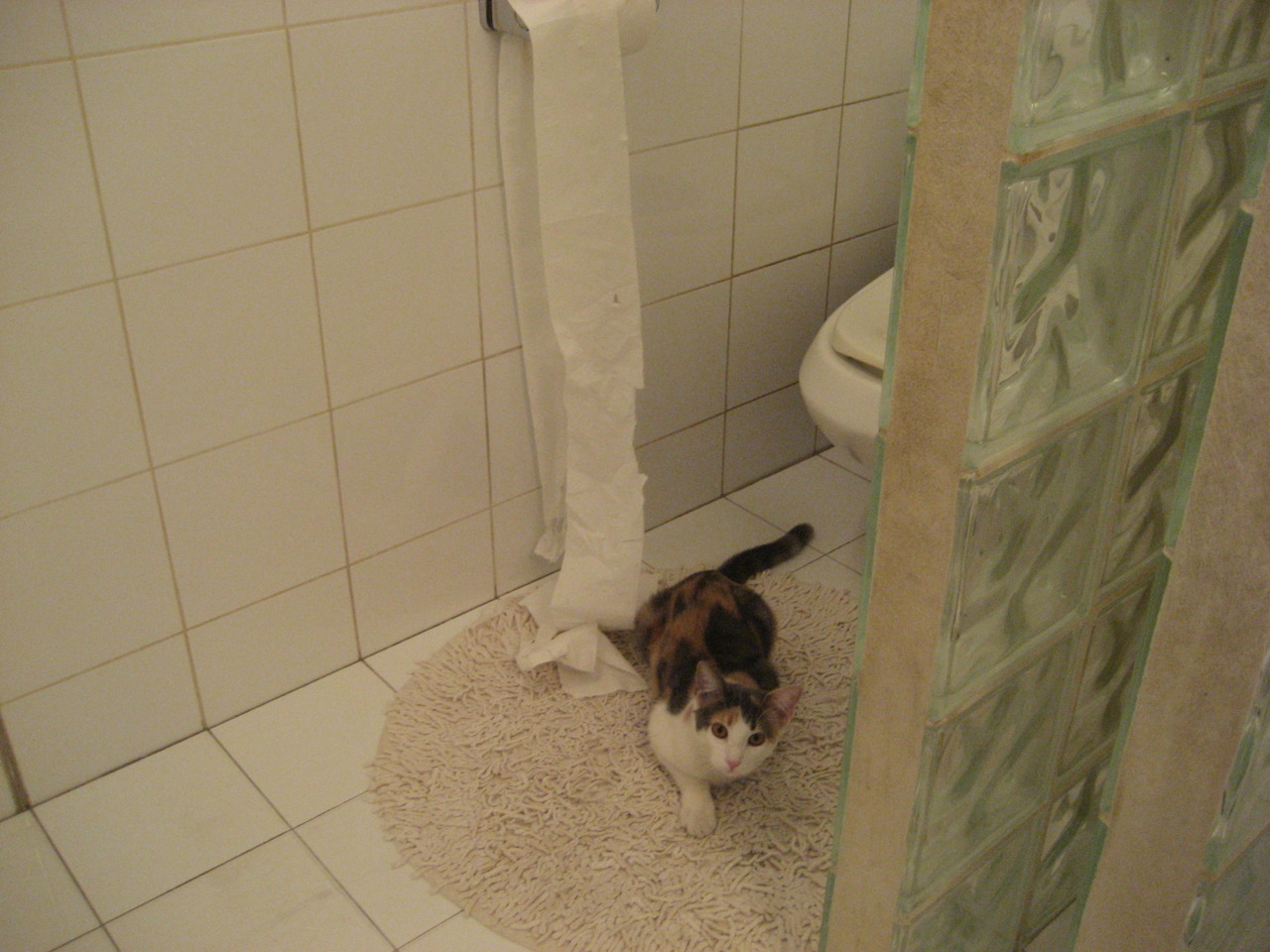 Kaiyun(中国)开云-凯尔特人险胜雷霆，东部决赛中塔图姆双手暴扣点燃全场，凯尔特人选塔图姆