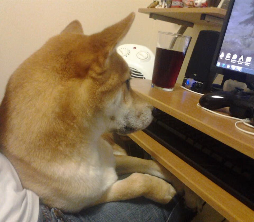 kaiyun官方网站-国际赛事中球员们殚精竭虑，为球队争出一片天地