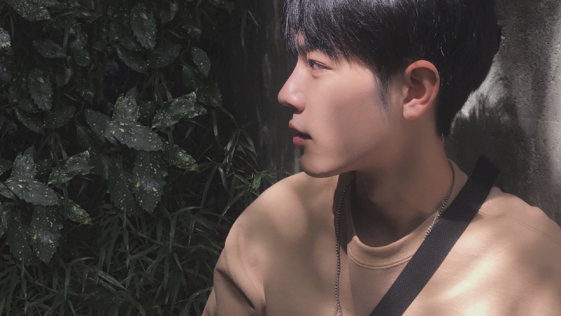 中国篮球教练员职业发展规划,中国篮球教练员职业发展规划是什么