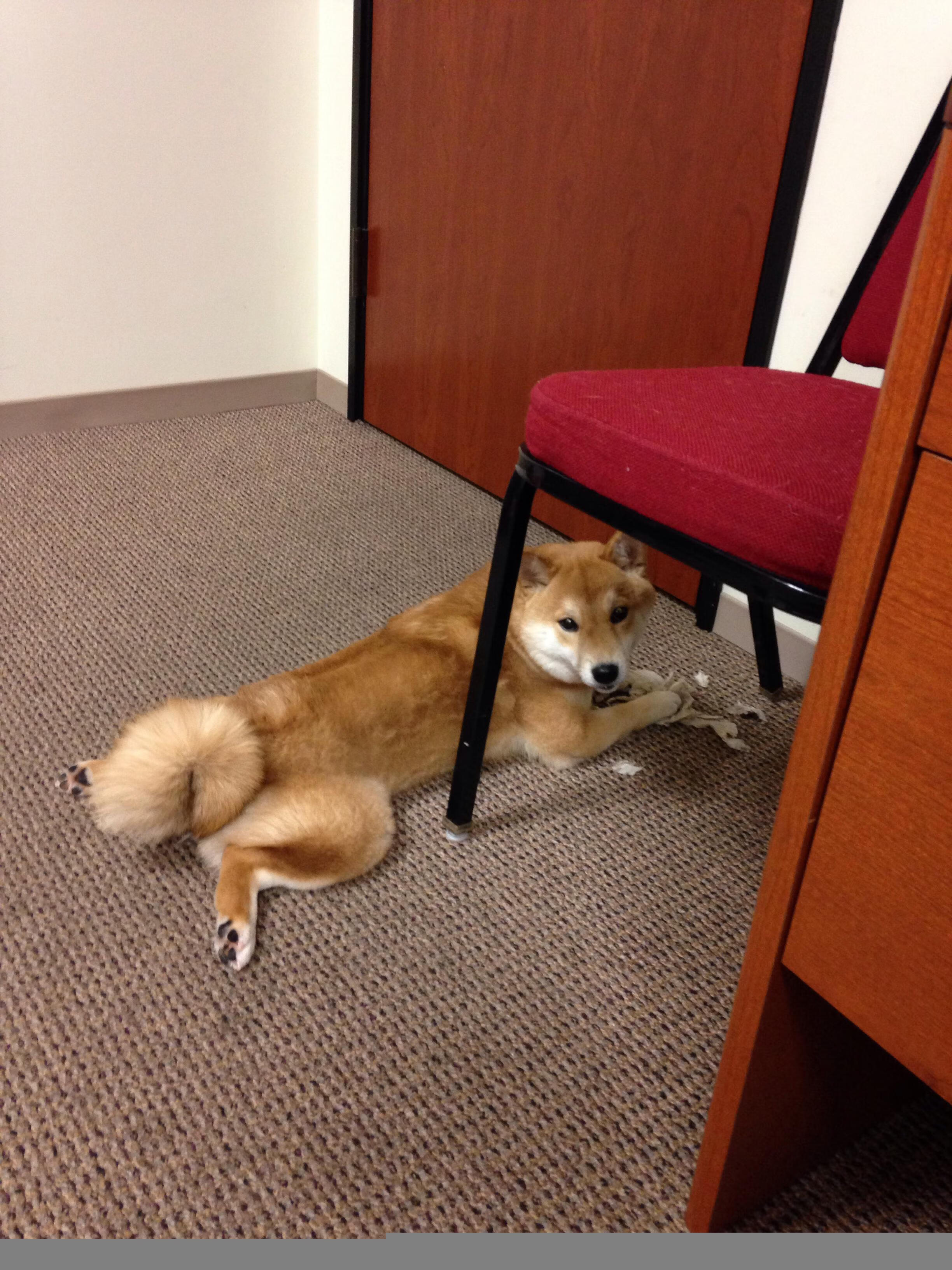 国足定位球打法选择变化趋势,足球定位踢准怎么踢