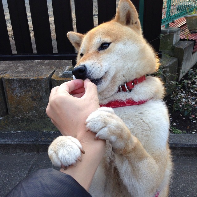 KAIYUN 中国大陆-中国男篮强化终结能力应对关键时刻压力，中国男篮最新规则