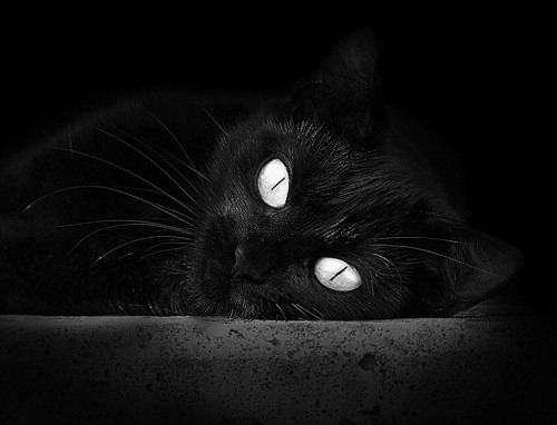 开云官方网站-电竞教育课程走进职业高中课堂，电竞教育包括什么教育