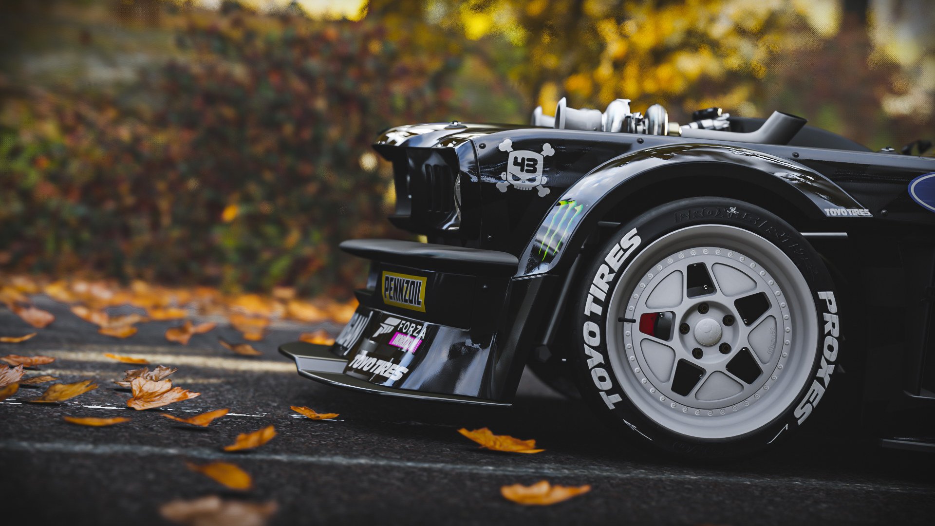 开云官方网站-“阿根廷美洲狮队：崭新的面孔，未来的无穷潜力”