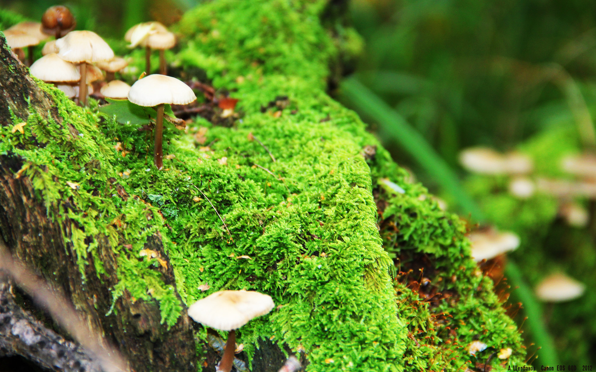 体育新闻中心激励人心故事，体育新闻分享