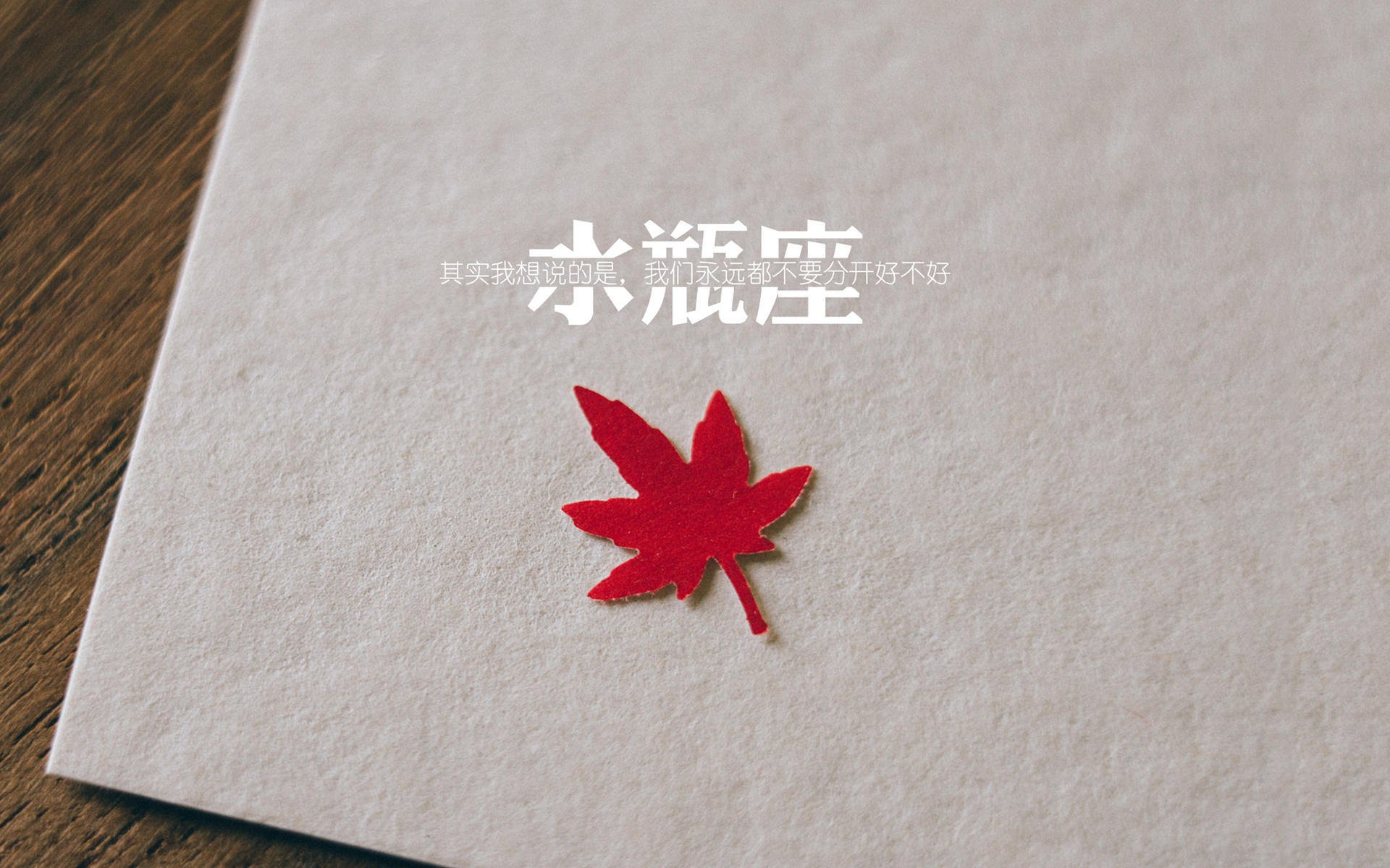 森林狼社交活动中球员展现轻松幽默一面,森林狼球员名单最新