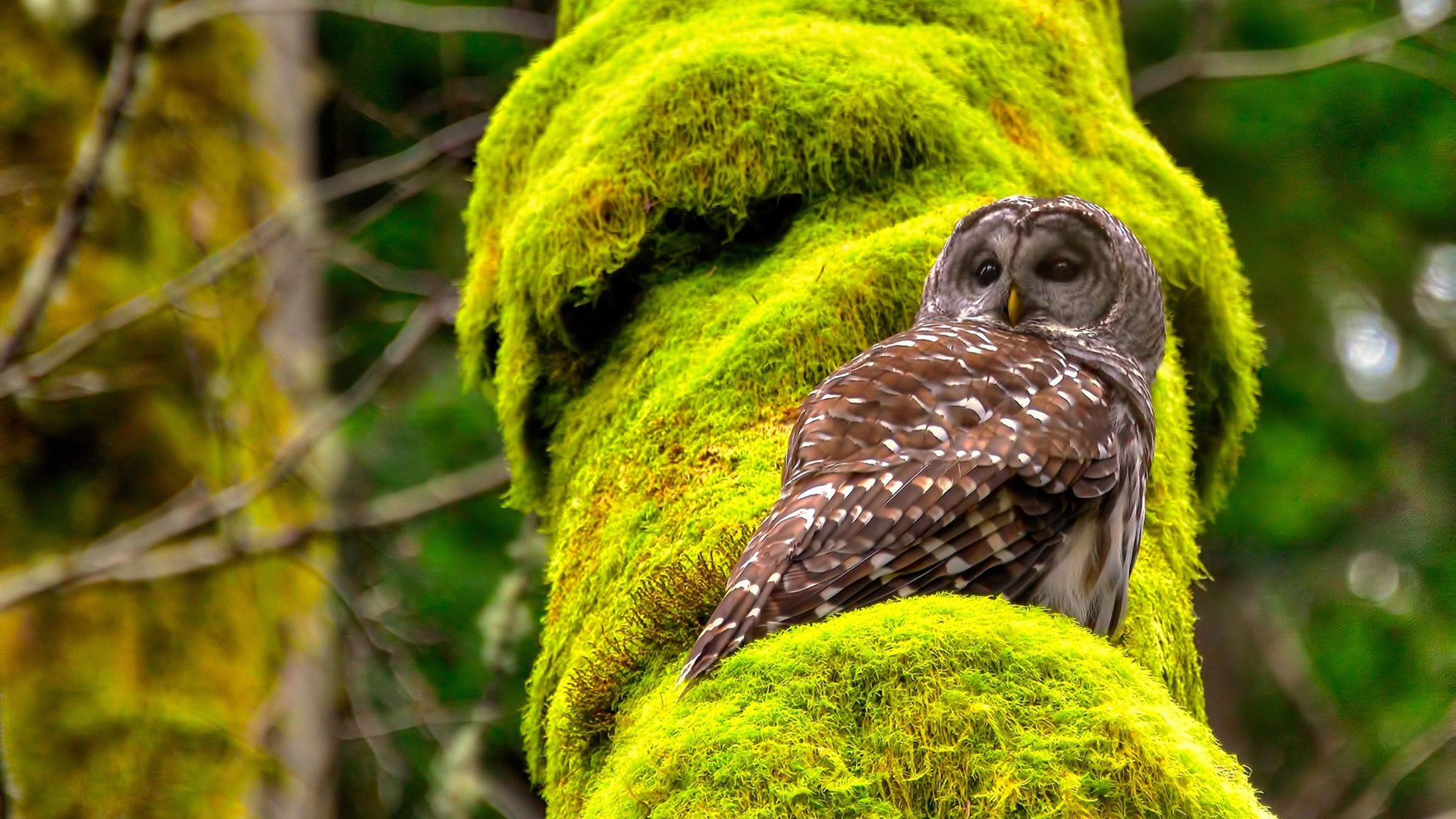 开云官方-比赛现场座无虚席观众助威声浪形成强大主场气场，比赛现场观众注意事项最新