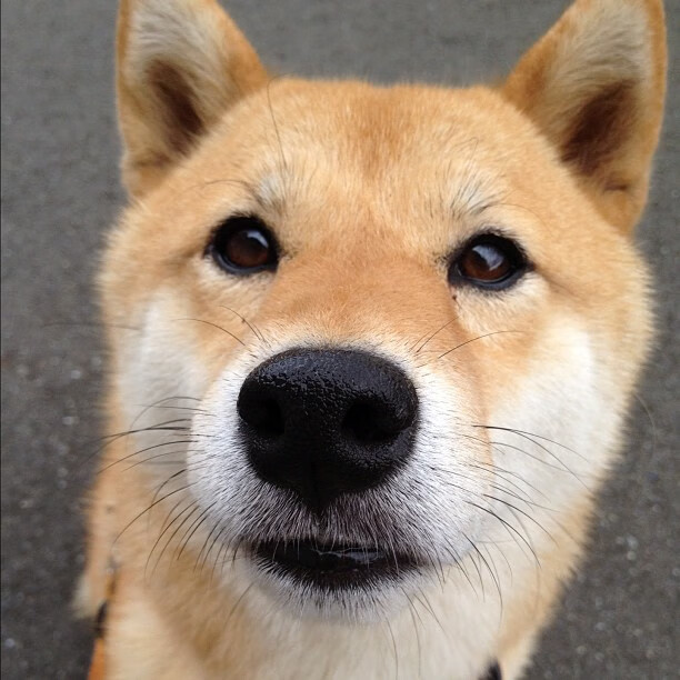 法国新一代天才崭露头角，未来可期