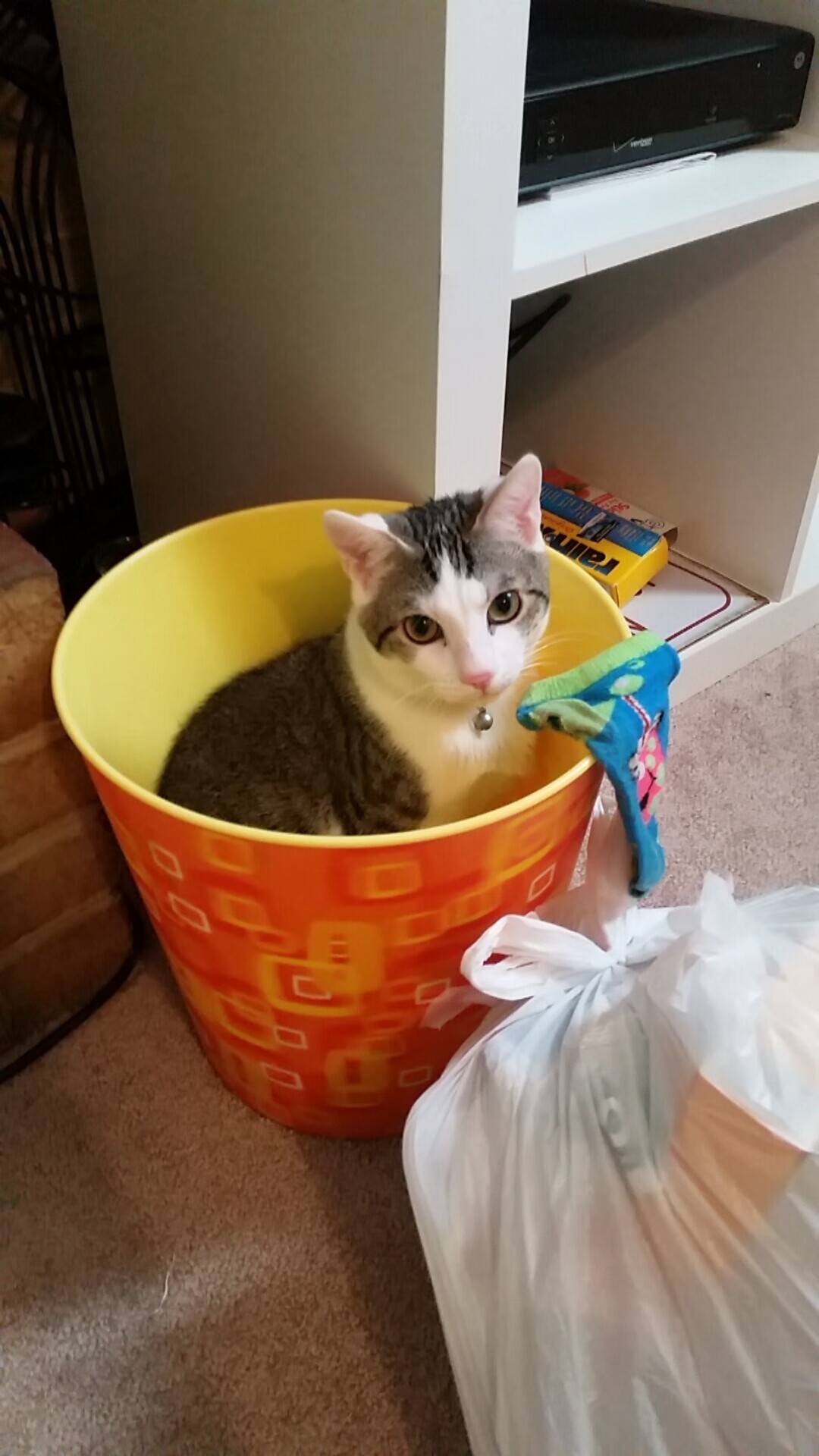 男子篮球注重低位技术培养增强内线统治力，篮球低位在哪个位置