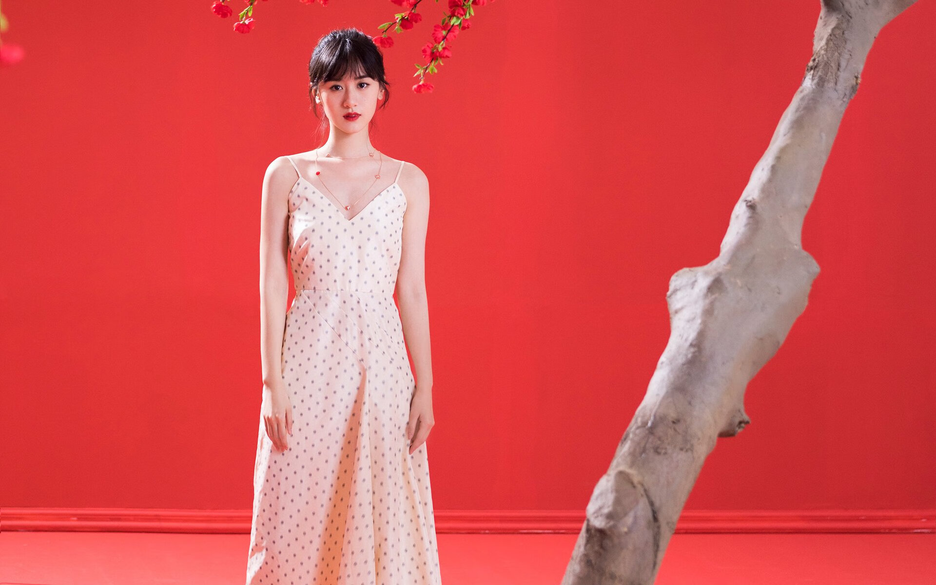 Kaiyun(中国)开云-美洲杯明星盛宴：精彩演出，燃爆全场！，美洲杯承办