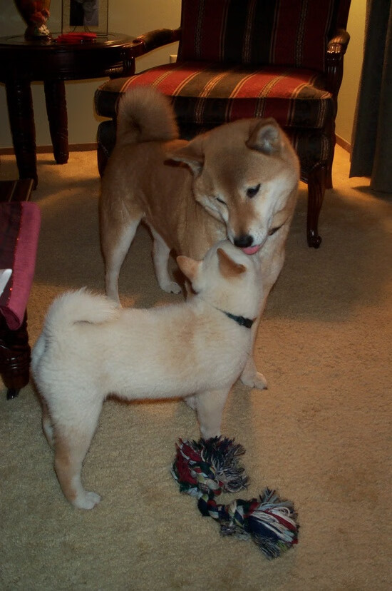 雷霆签下潜力中锋备战常规赛，雷霆主力队员