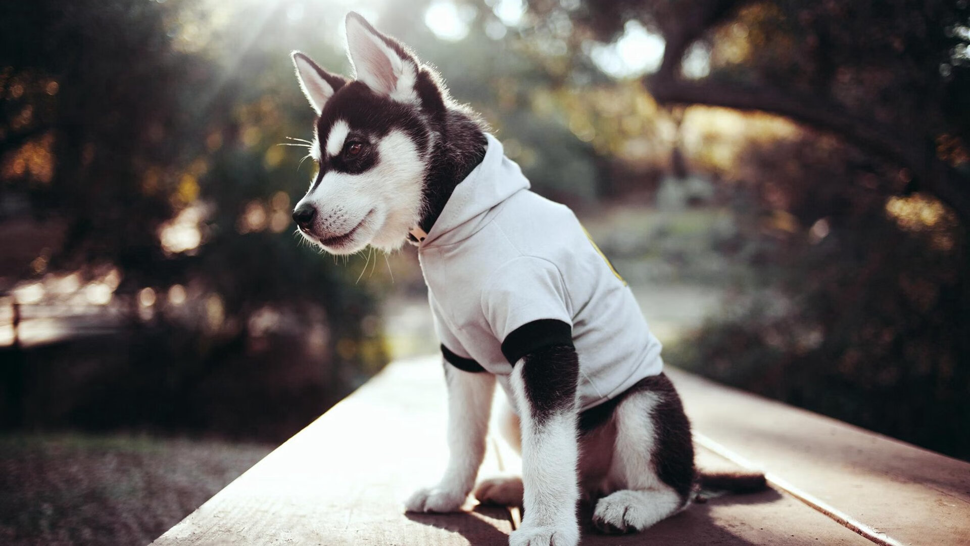 青少年足球暑期集训营报名人数创历史新高,青少年足球培训班收费标准