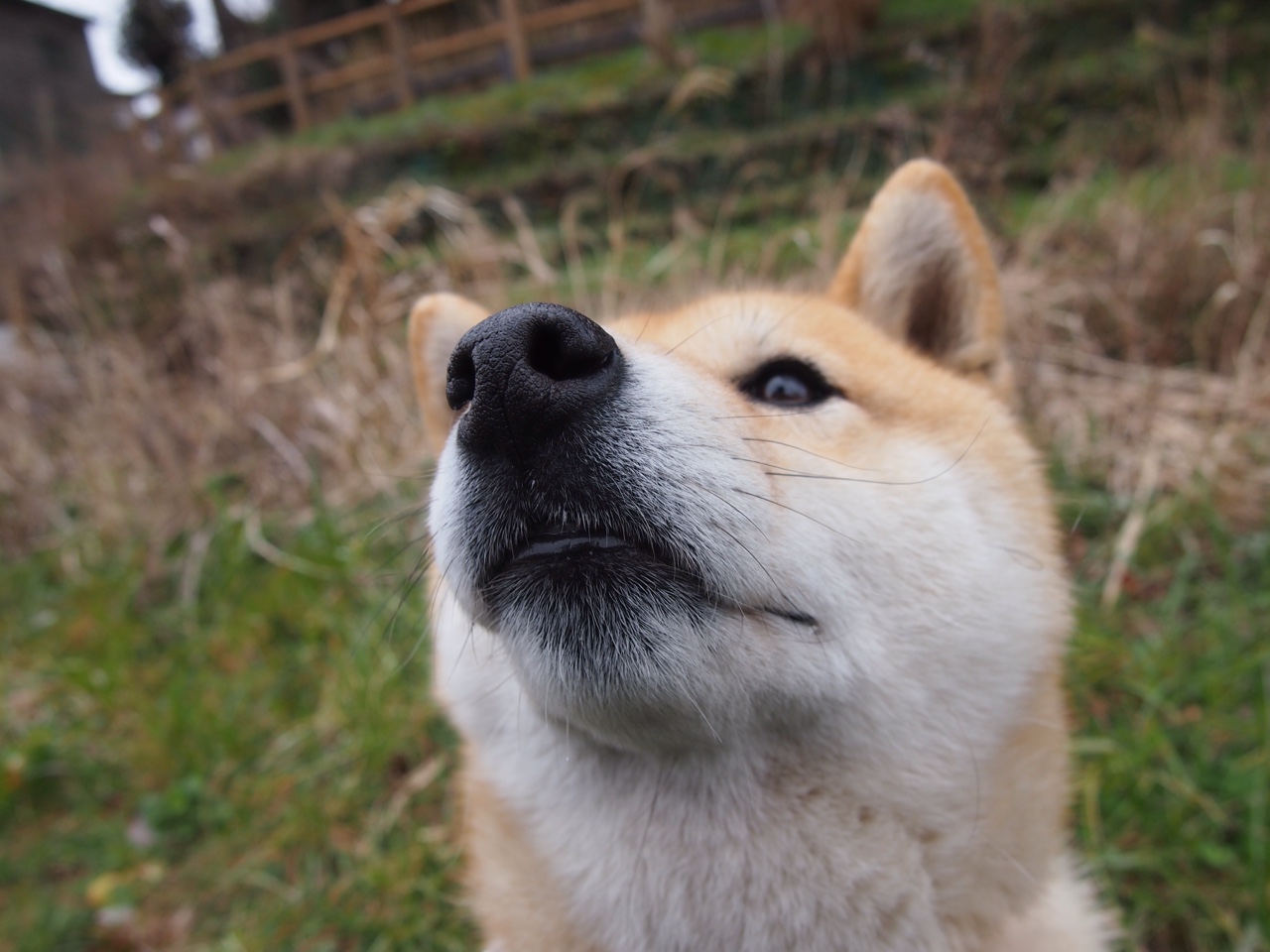 开云平台-黎巴嫩男篮在西亚锦标赛中夺冠，篮球运动再升温